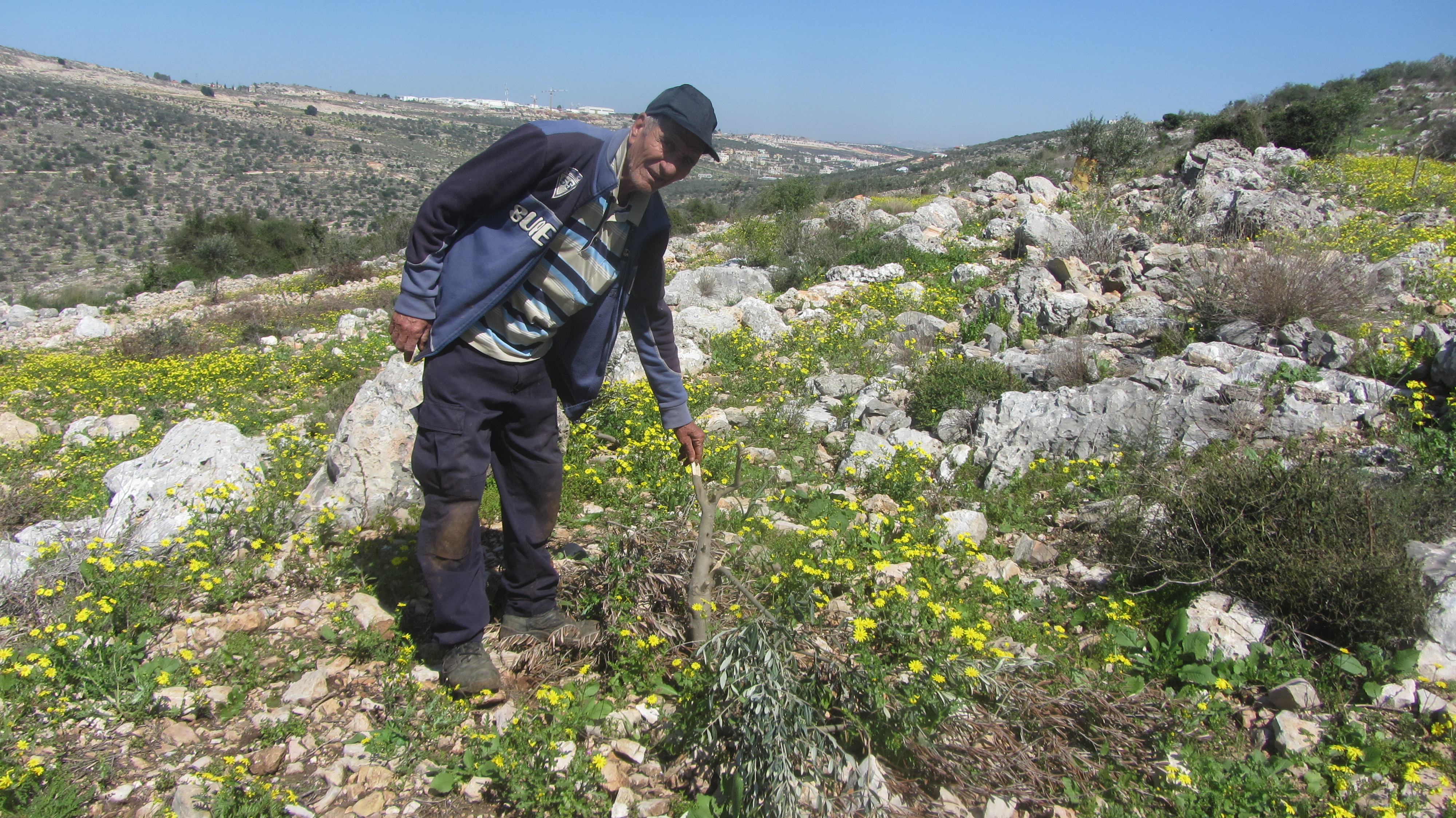 Taysir Naji, next to one of the broken trees. Photo by Abdulkarim Sadi, B'Tselem, 3 March 2020
