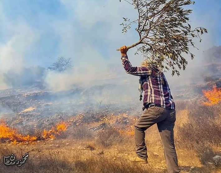 שריפה שפרצה במטע הזיתים כתוצאה מירי אמצעים לפיזור הפגנות בכפר בורקה, 12.10.2020. צילום: מועצת הכפר