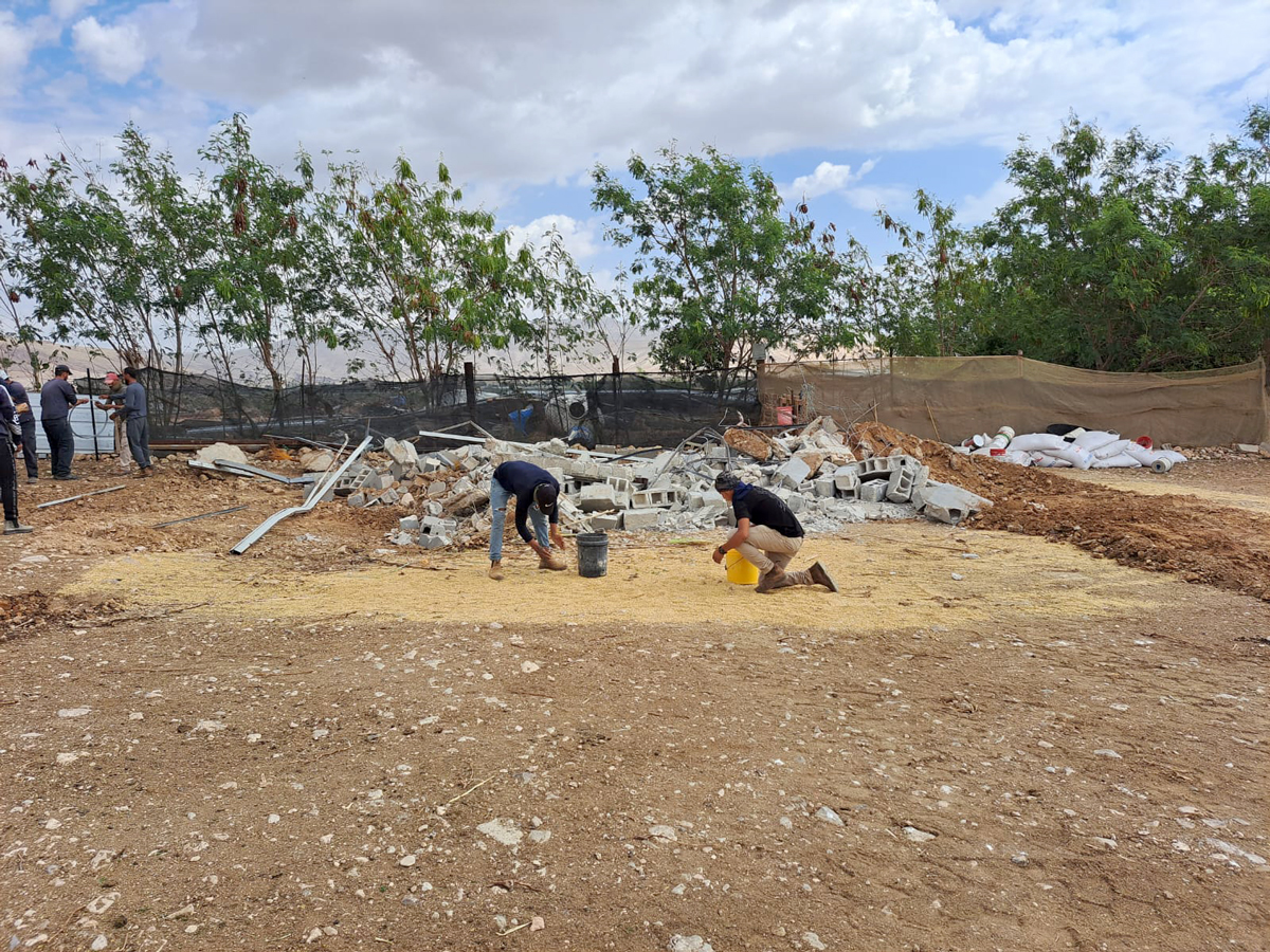 Residents in Fasayel collecting scattered fodder in front of the barn wreckage. Photo: 'Aref Daraghmeh, B'Tselem 