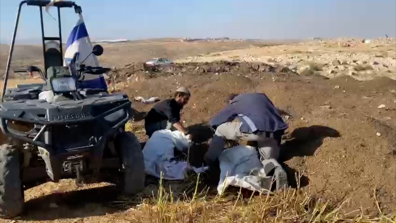 المستوطنان وهُما يجمعان السّماد في أكياس. الصورة قدّمها السكان مشكورين