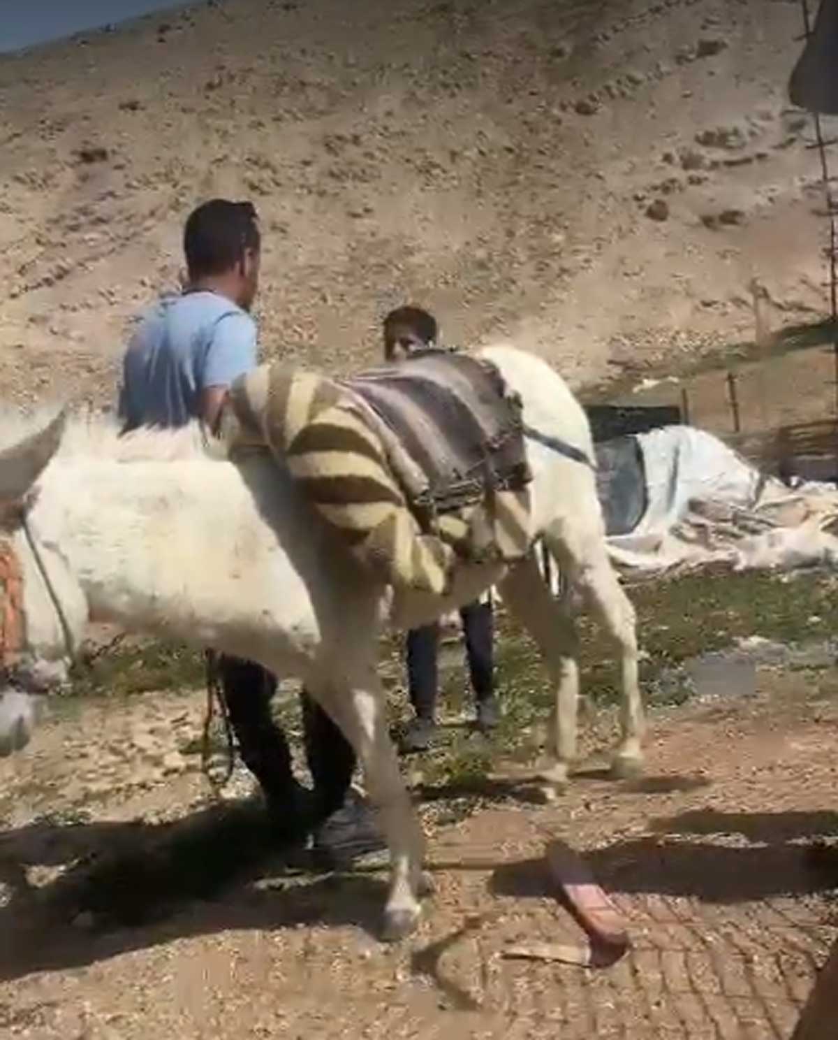 מתנחל מאיים על עבדאללה נסר, בן 13. מתוך תיעוד הווידיאו