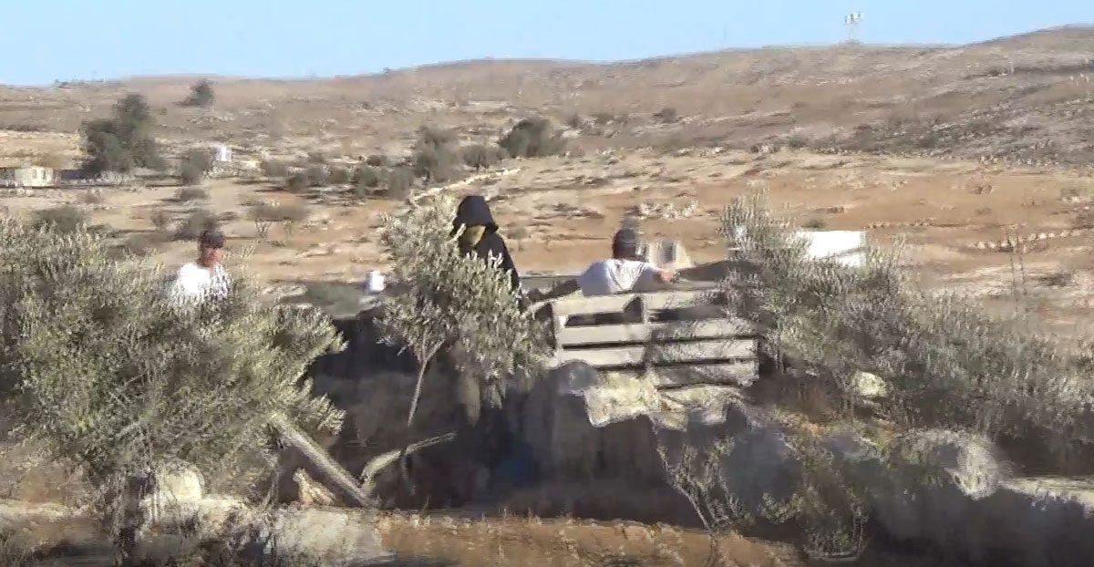 The settlers invading a house yard. Photo courtesy of residents