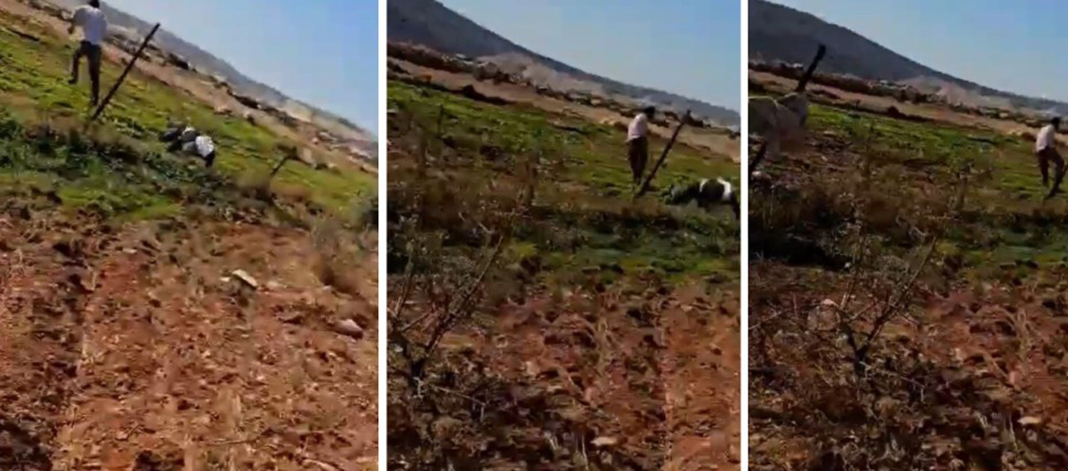 המתנחל תוקף את מוסא ג'בארין ואז נמלט. התמונה באדיבות התושבים