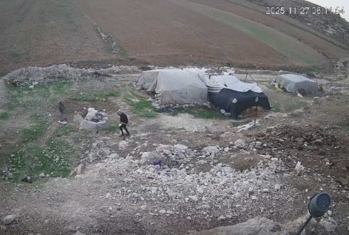 המתנחלים גונבים את החמור. מתוך תיעוד הווידיאו במצלמות האבטחה