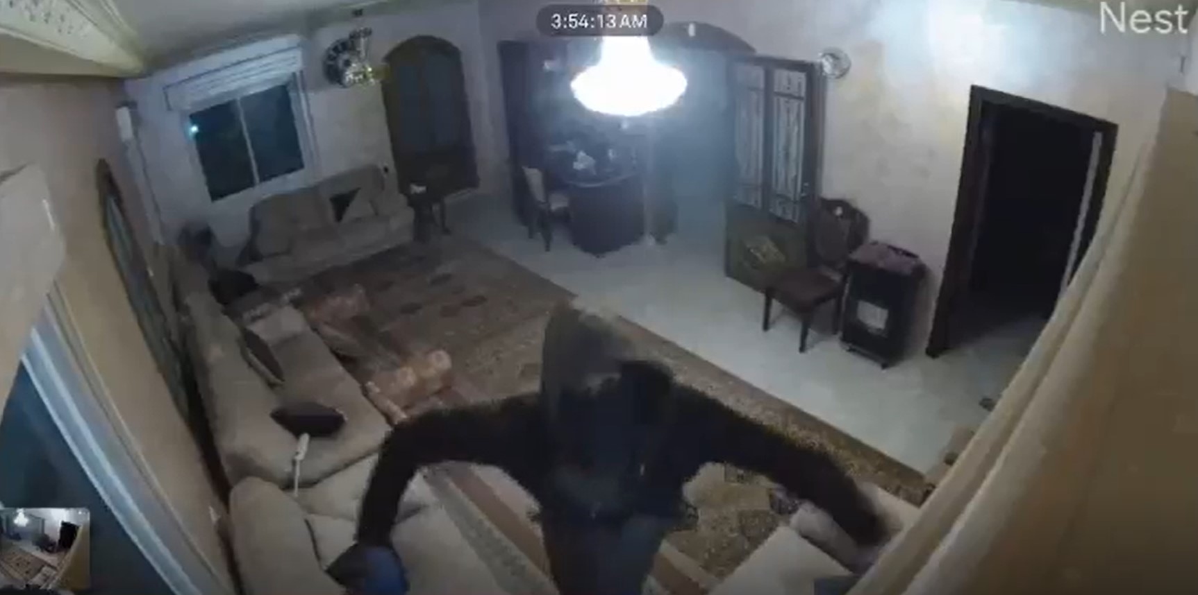 מתנחל משחית מצלמת אבטחה. מתוך התיעוד במצלמות האבטחה