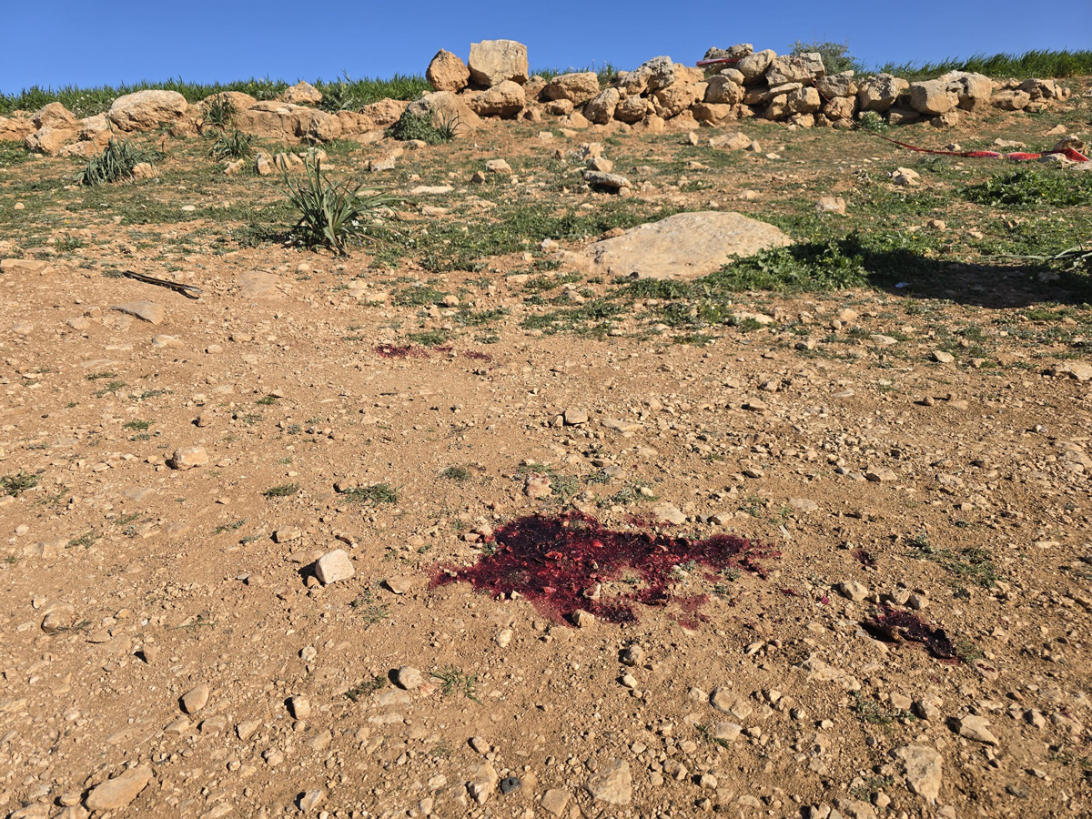 Location where Amir Shinaran was killed, by his family’s field. Photo: Nasser Nawaj’ah, B’Tselem