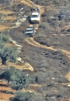 מתנחלים במטעי הזיתים של תושבי הכפר דיר ג'ריר. התמונה באדיבות תושבים 