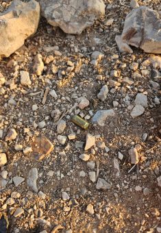 خرطيش الرصاص في أرض التجمع. صورة قدمها السكان مشكورين