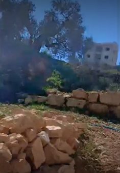 בתים על ההר שעליו השתלטו המתנחלים. מתוך תיעוד וידיאו באדיבות הפעילים