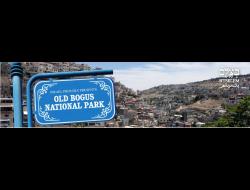 Al-Bustan neighborhood in Silwan