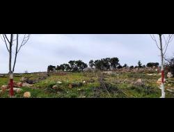 הגבעה שעליה נורה עמאר אבו עפיפה. צילום: מוסא אבו השהש, בצלם, 7.3.22 