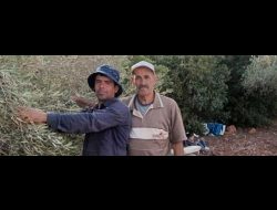 Left: Bilal Muhammed Saleh from the village of As-Sawiya south of Nablus, shortly before he was shot to death by settlers in his olive grove