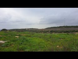 גדר ההפרדה בצפון הגדה. צילום: עבד אל-כרים א-סעדי, בצלם 