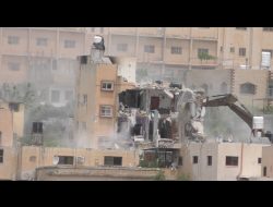 מתוך תיעוד הווידאו