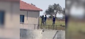 מתוך תיעוד הווידיאו