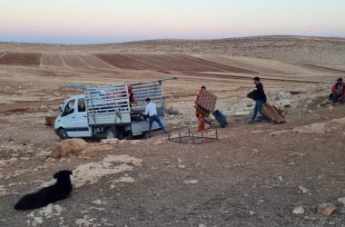 מתוך תיעוד הווידיאו