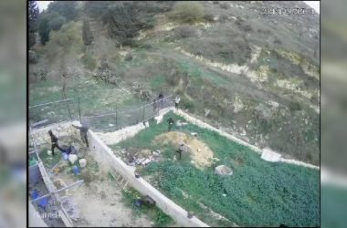 מתוך תיעוד הווידאו