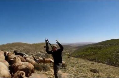 מתוך תיעוד הווידיאו