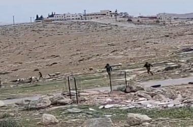 מתוך תיעוד הווידאו