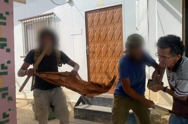 מתוך תיעוד הווידאו