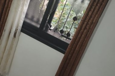 חלונות שניפצו המתנחלים. התמונות באדיבות המשפחה