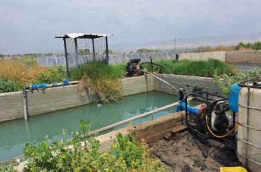 בריכת השקייה באדמות החקלאיות. צילום: עארף דראר'מה, בצלם