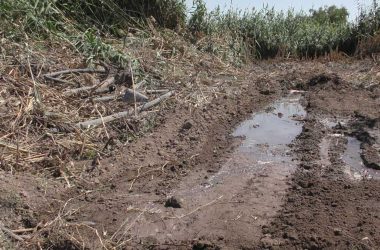 עקבות המכוניות בשדה הרמוס של דראר'מה, 24.4.24. צילום: עארף דראר'מה, בצלם