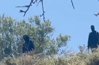 מתוך תיעוד הווידאו