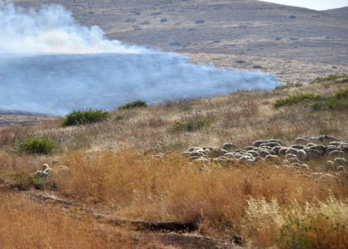 The pastureland being consumed by the flames. Photo by Aref Daraghmeh, B’Tselem, 27 May 2019