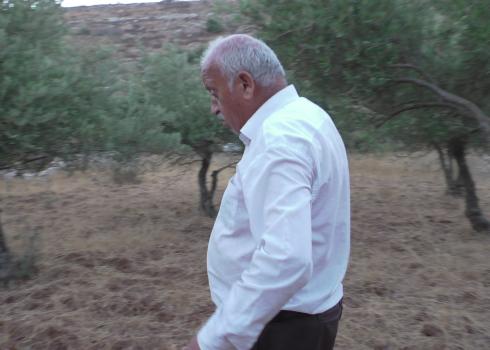 شاكر التميمي، وفي الخلفيّة كرم الزيتون خاصّته - بعد أن وجد أنّ مستوطنين قطفوا ثمار جميع الأشجار في كرمه. شرق الخليل، 17.10. تصوير منال الجعبري، بتسيلم.