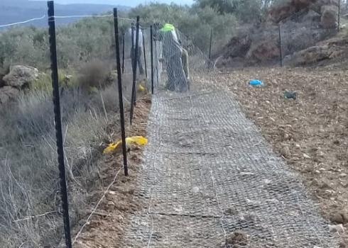 جدار خُرّب في فرعتا، 16.11.20. الصورة قدمتها عائلة الطويلة مشكورة 