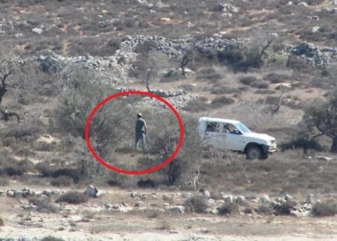 מתנחלים מסקו עצי זית בחלקת האדמה של פאווזי מוחמד. ג'אלוד. 13.10.2020. צילום: העד לאירוע