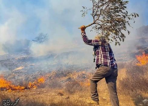 שריפה שפרצה במטע הזיתים כתוצאה מירי אמצעים לפיזור הפגנות בכפר בורקה, 12.10.2020. צילום: מועצת הכפר