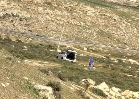 المستوطن وكلابه. الصورة من سكان التجمع مشكورين