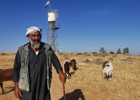 Mahmoud Hamamdeh with this flock. Photo by Nasser Nawaj'ah, 2 June 2021