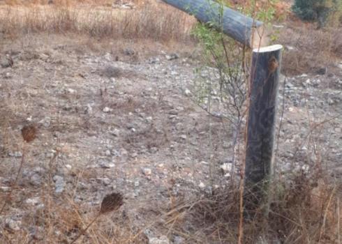 The utility pole cut down by settlers. Photo courtesy of the family 