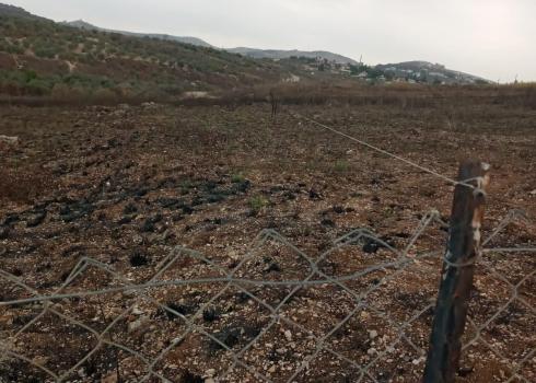 The plot from which the settlers uprooted and stole the seedlings. Photo courtesy of the farmers 