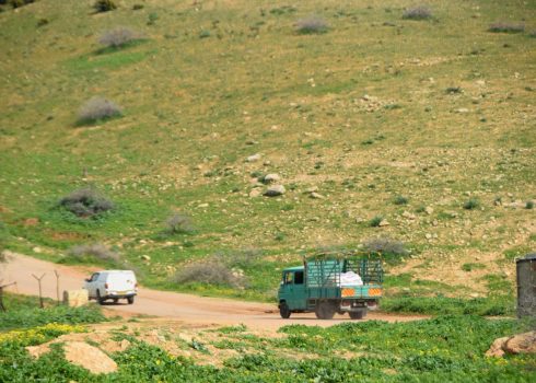Truck confiscation near al-Hadidiyah. Photo by 'Aref Daraghmeh, B'Tselem, 13 Feb. 2024 
