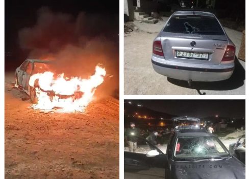 מכונית שהציתו המתנחלים ושתיים מהמכוניות ששמשותיהן נופצו בידיהם. התמונות באדיבות הבעלים