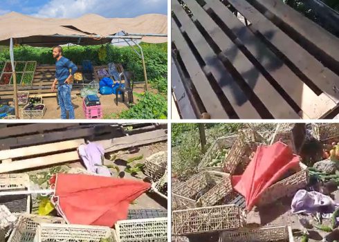 אמיר פוקהאא בדוכן הירקות שלו, והנזקים שגרמו המתנחלים. צילום:  עארף דראר'מה, בצלם