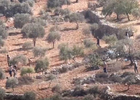 המתנחלים תוקפים את המוסקים במטעים. התמונה באדיבות התושבים