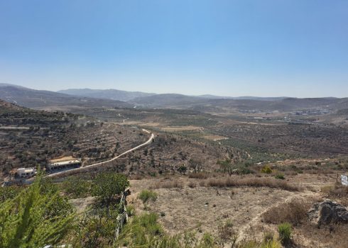מישור ראמין. צילום: עבד אל-כרים סעדי, בצלם