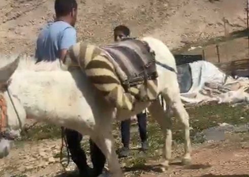 מתנחל מאיים על עבדאללה נסר, בן 13. מתוך תיעוד הווידיאו