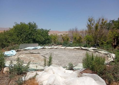  בריכת ההשקיה שנהרסה בידי בעליה בפורוש בית דג'ן. צילום: עארף דראר'מה, בצלם