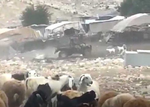 Settlers driving around the community in an ATV, kicking up dust, 11 November 2024 