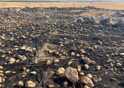 השדה ששרפו המתנחלים. צילום: פעילי.ות הבקעה