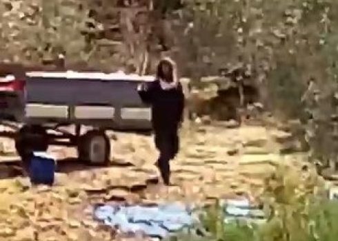 מתנחל ליד עגלתו של א-זבן. מתוך תיעוד וידיאו באדיבות העד