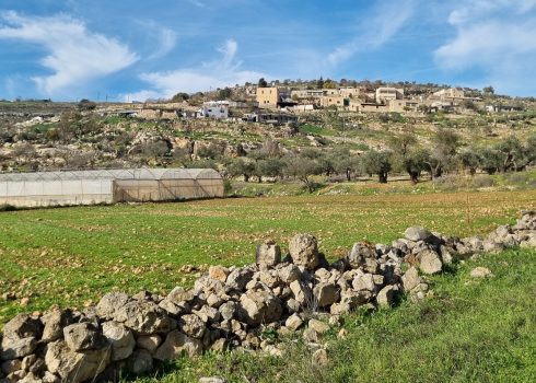 ח'ירבת יאנון אל-פוקא בינואר 2024. צילום: שרית מיכאלי, בצלם