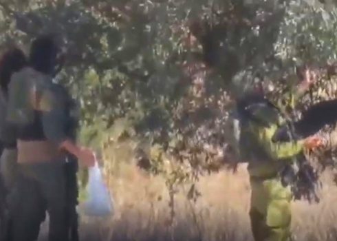 מתנחלים מוסקים וגונבים זיתים מאדמתו של חוסאם עאידה בסינג'ל. מתוך תיעוד וידיאו באדיבות העד