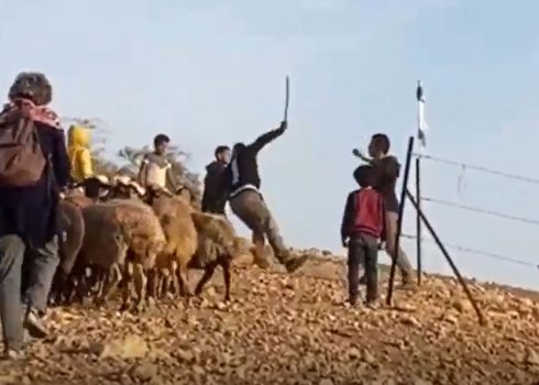 Gilad Amusi pushing and knocking down Luai Abu Muhsen near the wire fence he put up to block the sheep from going out to pasture. Still from video footage courtesy of local residents